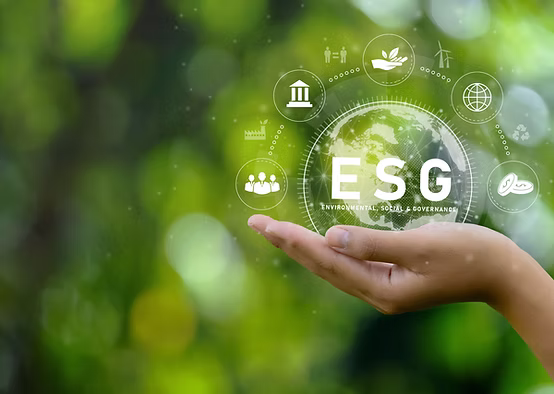 Digital Transformation in Agriculture