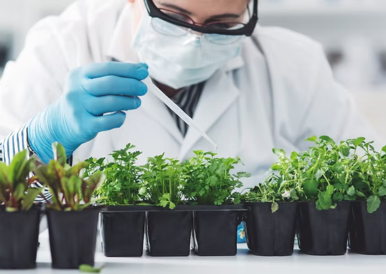 Crop Protection