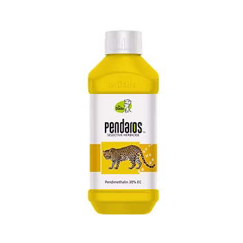 Pendaros