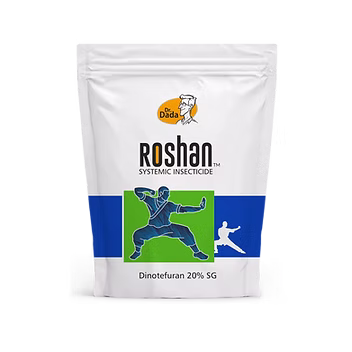 Roshan