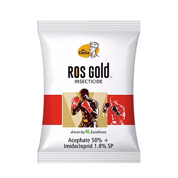 Ros Gold