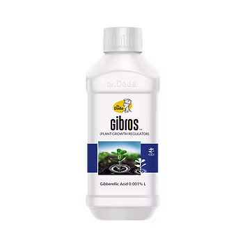 Gibros