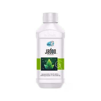 Jadoo