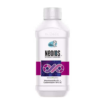 Neoros