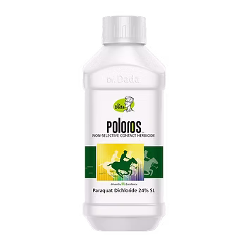 Poloros