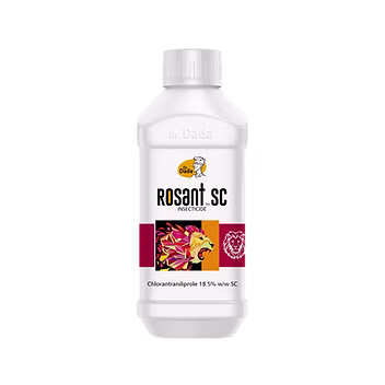 Rosant SC