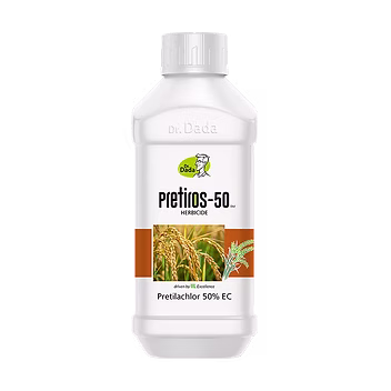 Pretiros - 50