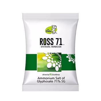 Ross 71