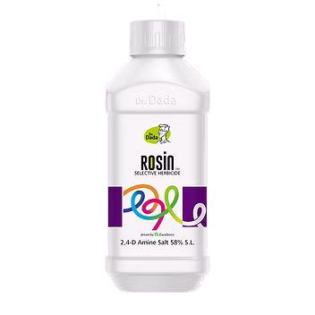 Rosin