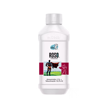 R0s0