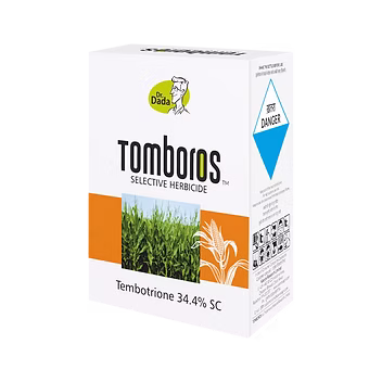 Tomboros